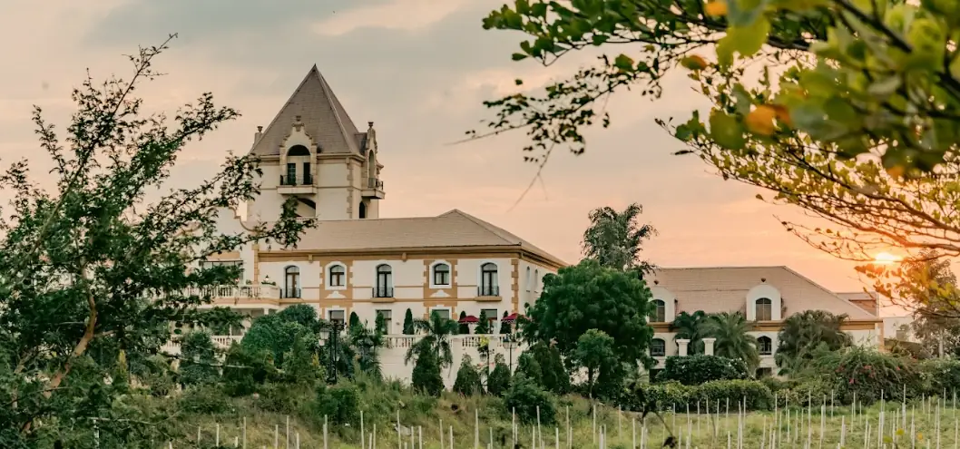 Looking for a Hotel in Pune? Discover the Real Vineyard Escape