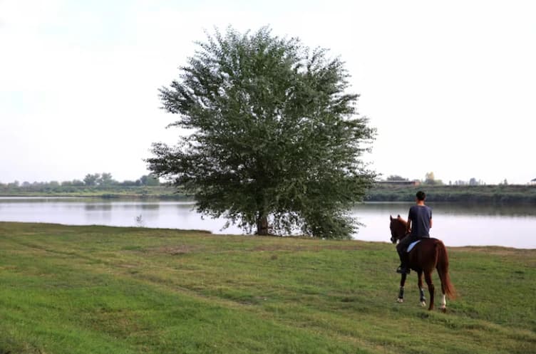 Horse Riding in Pune at a Scenic Vineyard Resort