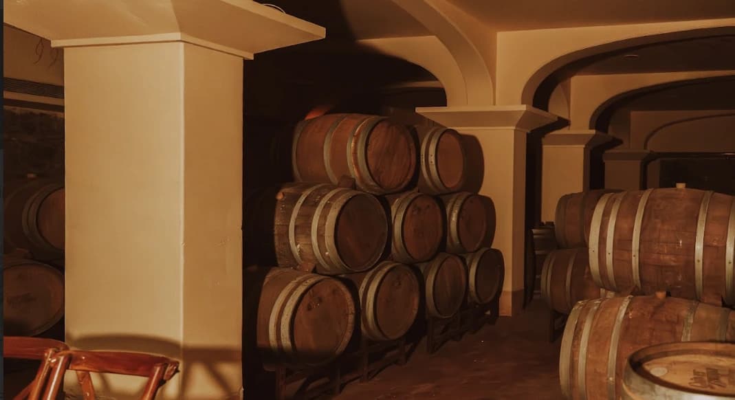 Premium Winery Near Me with Scenic Surroundings