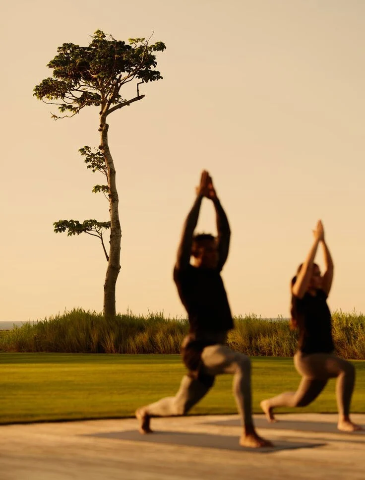 Yoga (Yin/Hatha)