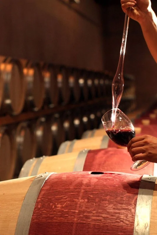 Wine & Culture