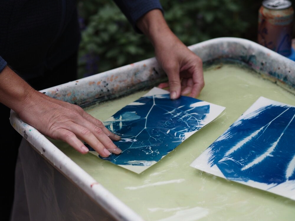 Cyanotype Printing