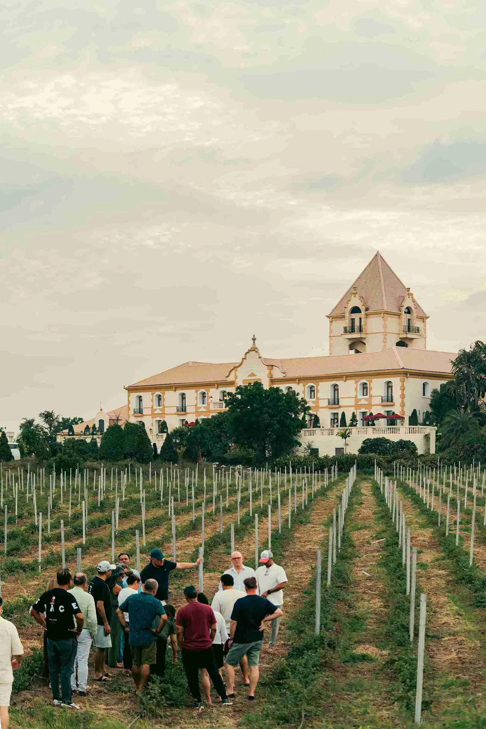 Tours & Tastings
