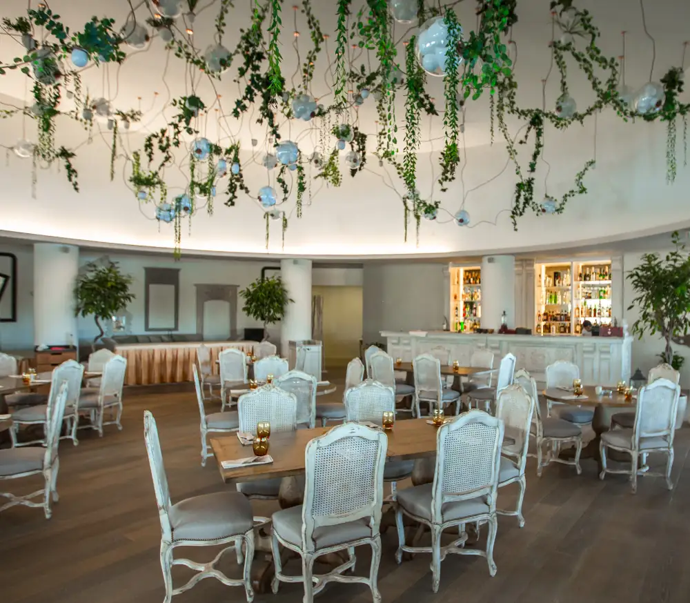 Wedding Venue in Pune with Vineyard Ambiance