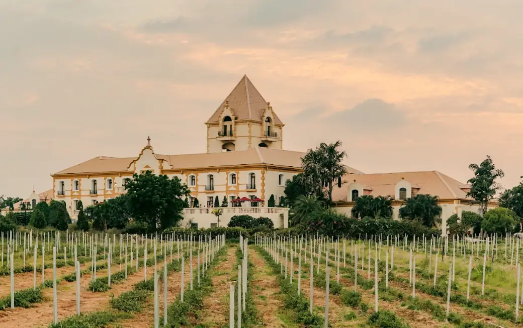 Monsoon Getaway Near Pune: When the Vineyard Comes Alive